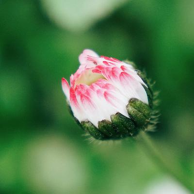 20251104 - I got you Body