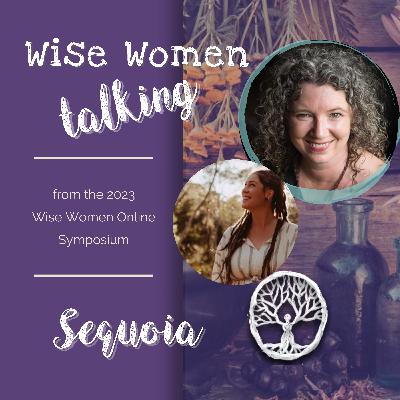S1 : Sequoia for the School of Shamanic Womancraft at Wise Women Symposium 2023