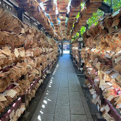 第31集 東京旅遊回憶錄