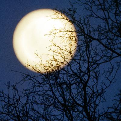 Wettlauf zum Mond - Wer baut da oben das Dorf?