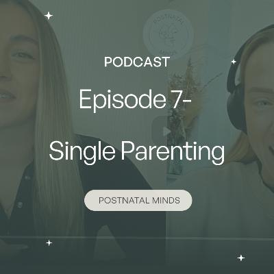 Episode 7- Single Parenting