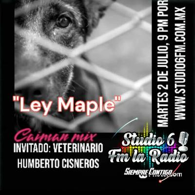 La Ley Maple con el Dr. Humberto cisneros