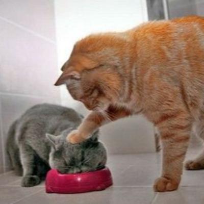 Episode 6: Yonanas and global transformation