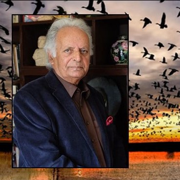 منطق الطیر جدید حصہ دوم