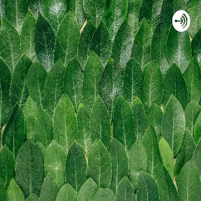 शिवा कुमार