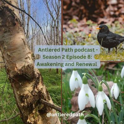 Season 2 - Episode 8 'Awakening and renewal'.