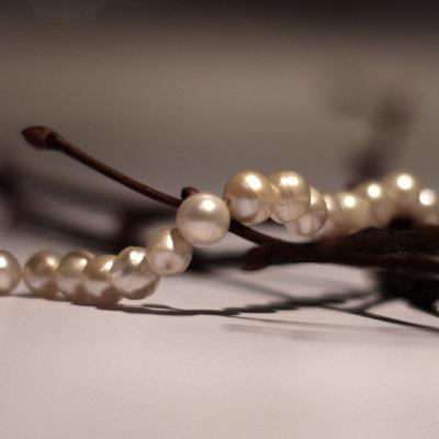 181太宰治「美少女」（朗読）