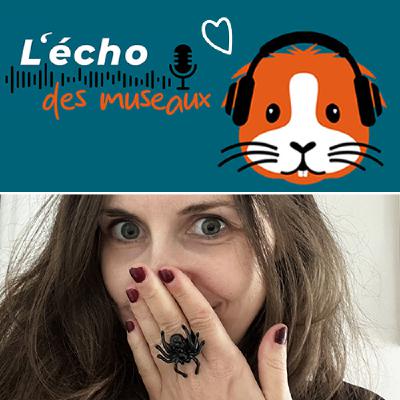13. Episode solo (phobique friendly) spécial Halloween : connaitre et aimer les araignées