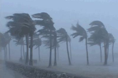 Bản tin trưa 9/11: Philippines báo động đỏ vì siêu bão Fung-Wong