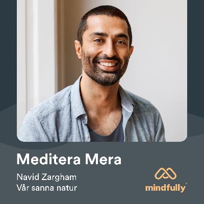 Navid Zargham - Om meditation och vår sanna natur