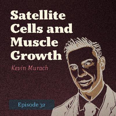 EP. 32: Satellite Cells and Muscle Growth | Kevin Murach
