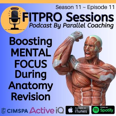[S11:E11] Boosting Mental Focus During Anatomy Revision