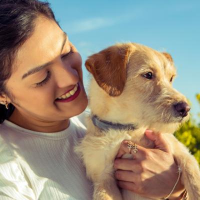What Can We Learn From COVID: Addressing Critical Knowledge Gaps Between Human and Pet Health