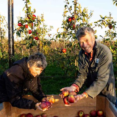 Raapzaad 16 Eikemaheert, deel 1. In gesprek met Piet Glas