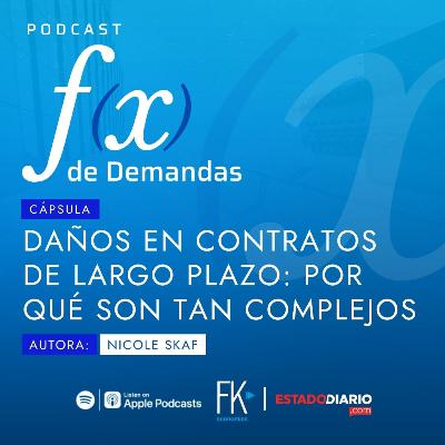 Cápsula: Daños en contratos a largo plazo y el por qué son tan complejos