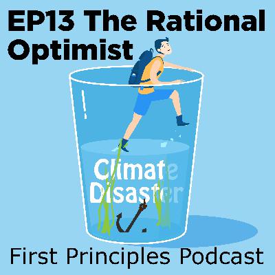 Rational Optimist Rational Optimist