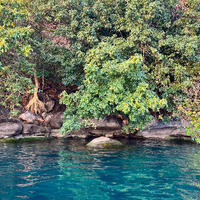 Ancient Rift Valley Rock Pools, Lake Malawi National Park, Malawi. (15 min)