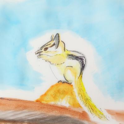 Chipmunk