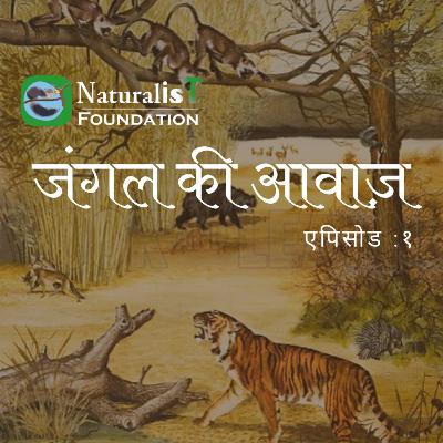 जंगली की आवाज - एपिसोड 1