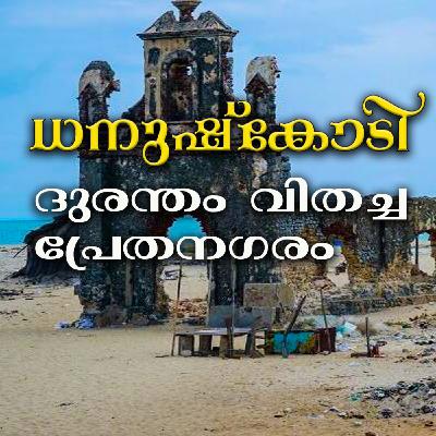 325: Rewire for High Performance: Science-Based Self-Healing with Carrie Drinkwine