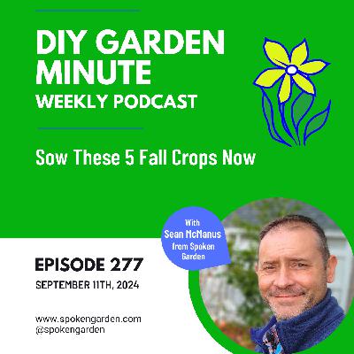 Sow These 5 Fall Crops Now - DIY Garden Minute