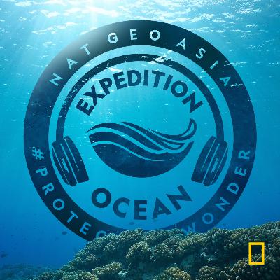 Expedition: Ocean