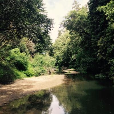 Babbling brook white noise at Felton, CA (8 hour)- sleep, relaxation, meditation, baby sleep