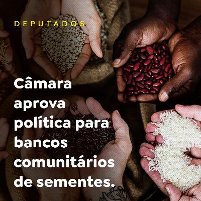 Câmara aprova política para bancos comunitários de sementes