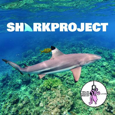 SHARKPROJECT International: Haiforschung, Artenschutz & Politik