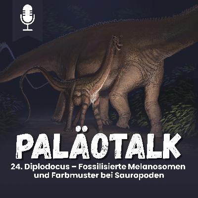 24. Diplodocus – Fossilisierte Melanosomen und Farbmuster bei Sauropoden
