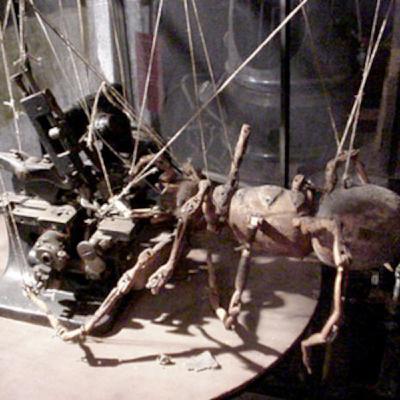 déterrer le calumet