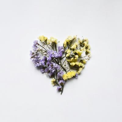 Ep123 和我一起做冥想吧：Metta Meditation爱与慈悲