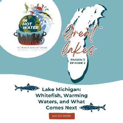 Lake Michigan: Whitefish, Warming Waters, and What Comes Next