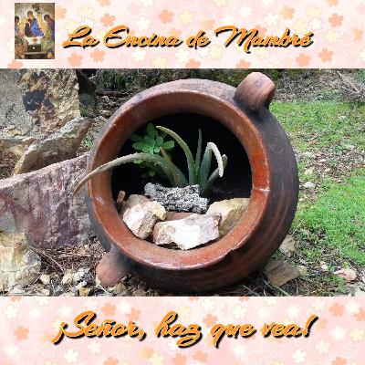 ¡Señor, haz que vea!