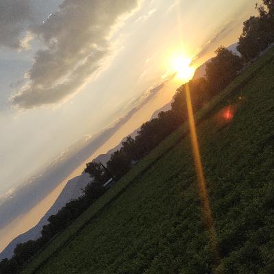 Crecimiento Personal Para Ser Un Mejor Compañero De Vida (Trailer) Crecimiento Personal Para Ser Un Mejor Compañero De Vida (Trailer)