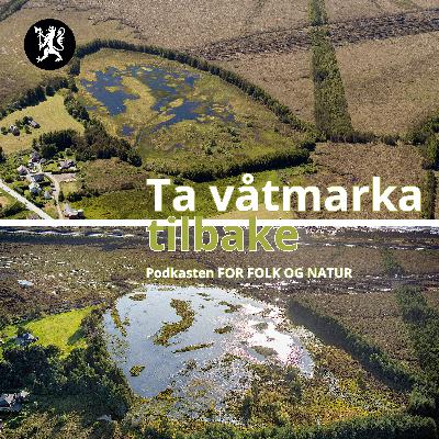 Ta våtmarka tilbake!