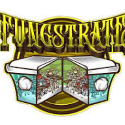 Fugus + Substrate + FUNGSTRATE | Interview with the "BIG STEPPA" Jason Quinn of @Fungstrate | Season 3 - Ep. 34