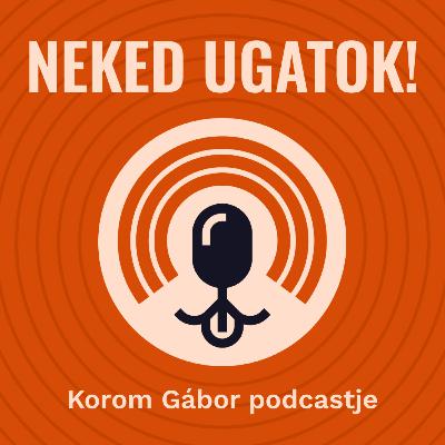 Ne a falatért csinálja meg (TÉVHIT)! | #92