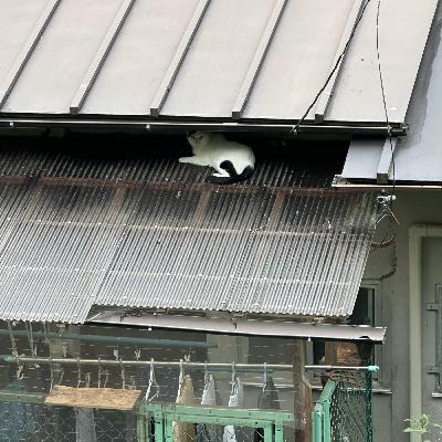 9/23 プレッシャーのかかる日常 9/23 プレッシャーのかかる日常