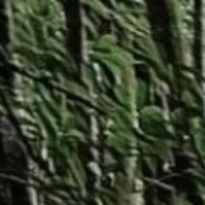 Qirey Kania_2006813_Layanan Pribadi_UAS ICT