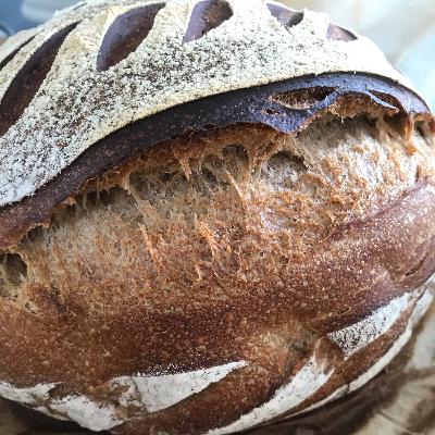 Chef vs. Sourdough