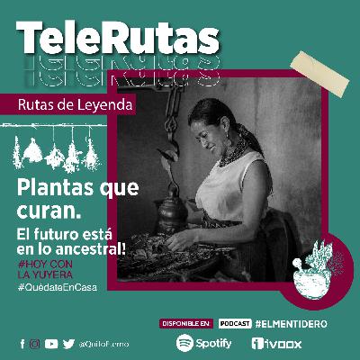 CAPÍTULO #10 Tele rutas de leyenda - Plantas que curan CAPÍTULO #10 Tele rutas de leyenda - Plantas que curan