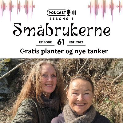 Gratis planter og nye tanker