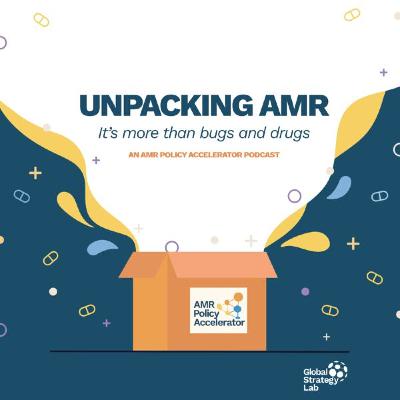 A Political Declaration on AMR: What's next?