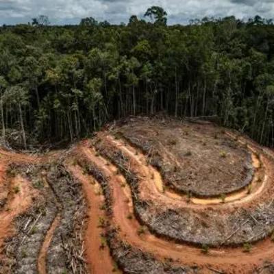 Habitat and Biodiversity loss
