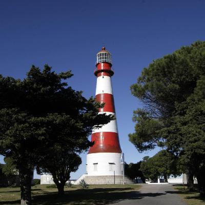 Punta Mogotes - Faro - Playas del Sur