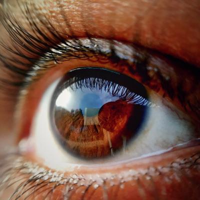 #4 Things To Consider While Choosing The Right Lash Adhesive Glue In 2022!