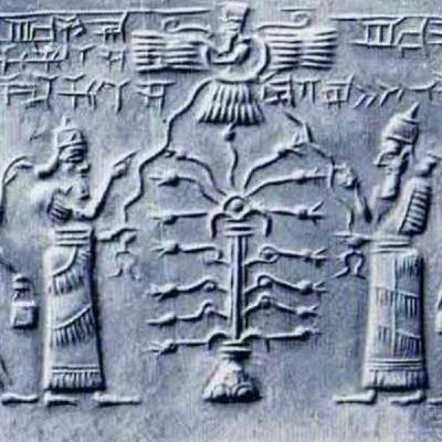 ¿estamos sólos? ¿estamos sólos?