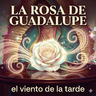La Rosa de Guadalupe: El viento de la tarde