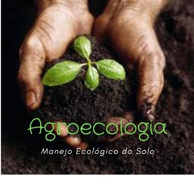 Manejo Agroecológico do Solo